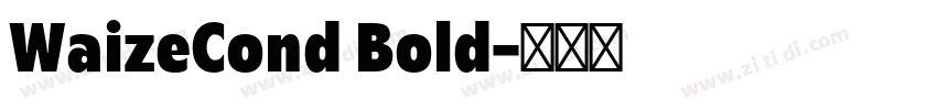 WaizeCond Bold字体转换